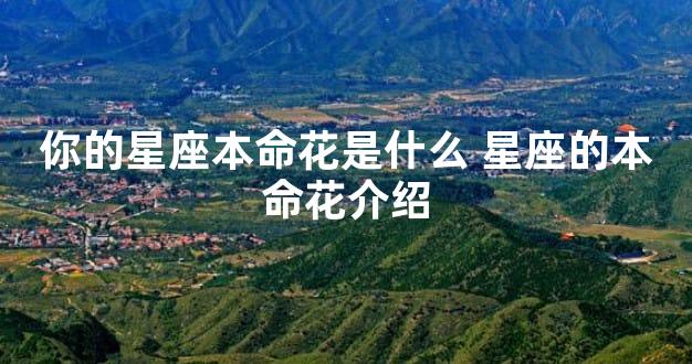 你的星座本命花是什么 星座的本命花介绍